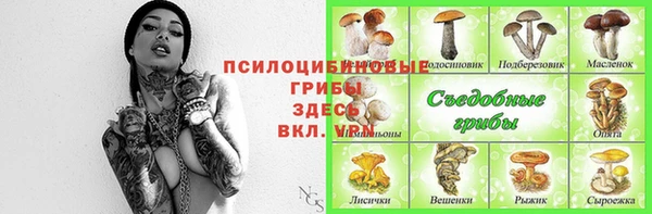 спиды Арсеньев