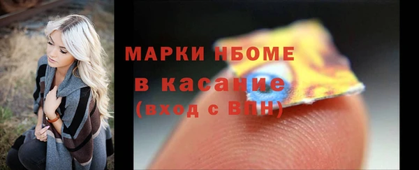 индика Белая Холуница