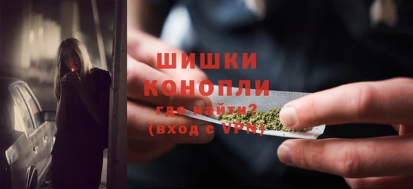 сатива Армянск