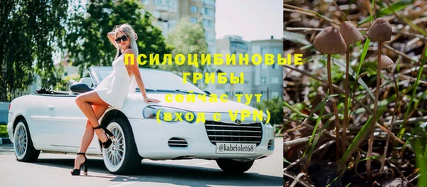 СК Аркадак